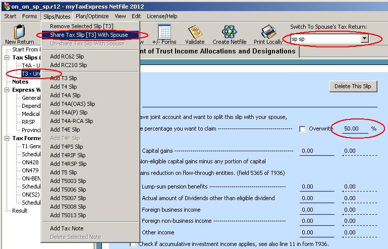 Share tax slip